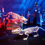 Joyfy Halloween Skeleton Fish Skeleton Halloween Decor,Plastic Skeleton with LED Eye for Halloween Decoration Outdoor Haunted House Party - Image 32
